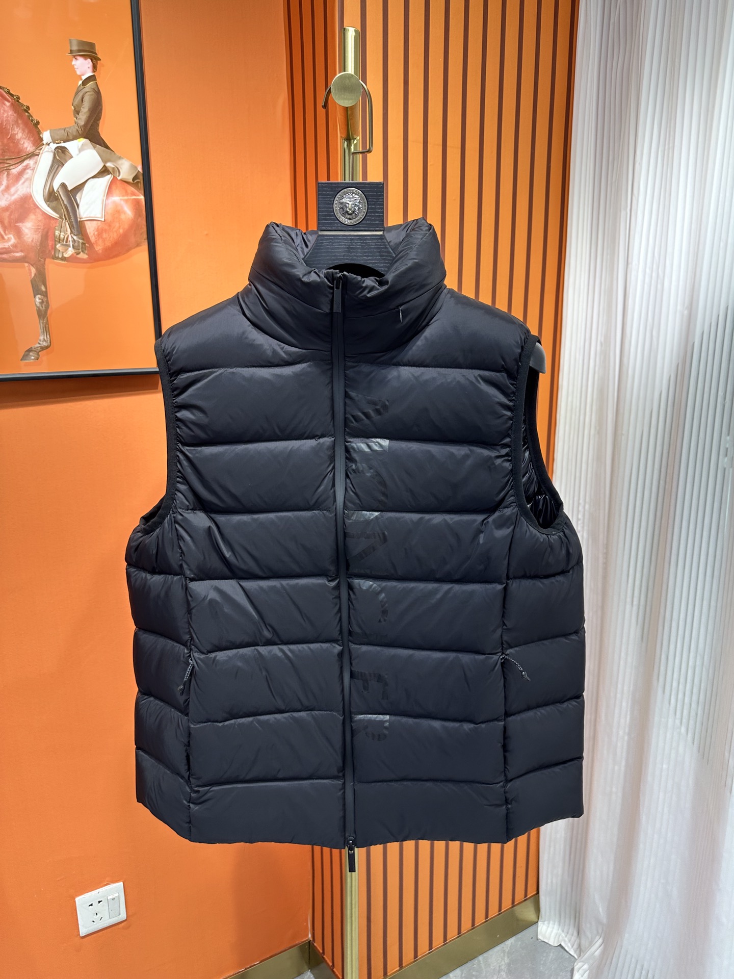 Moncler Down Jackets